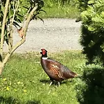 Дом отдыха Family-friendly Holiday-home On North Funen *