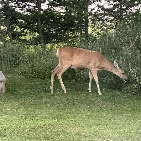 別荘 Family-friendly Holiday-home On North Funen