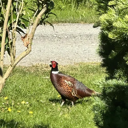 Semesterbostad Family-friendly Holiday-home On North Funen *