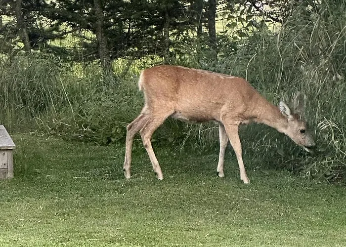 Σπίτι διακοπών Family-friendly Holiday-home On North Funen *