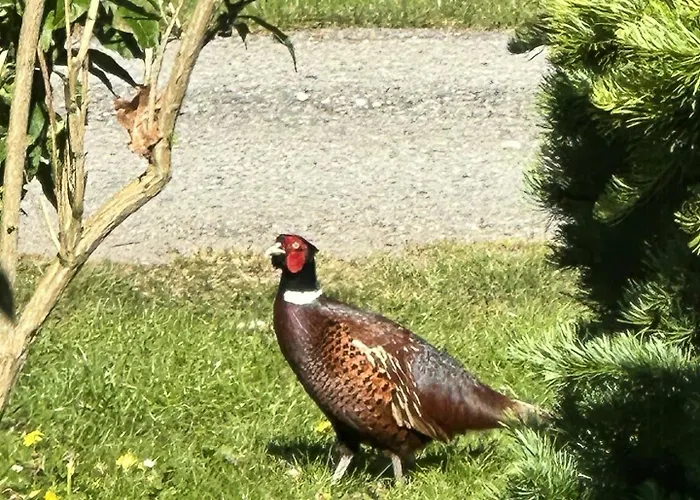 Σπίτι διακοπών Family-friendly Holiday-home On North Funen *